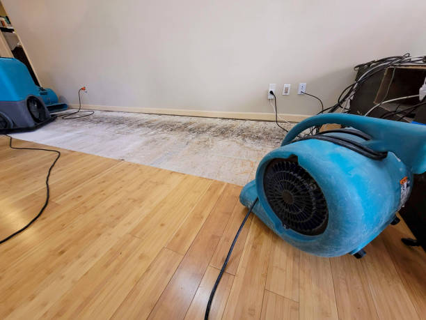 Professional Flood Damage Cleanup technician working in Saint Helen, MI