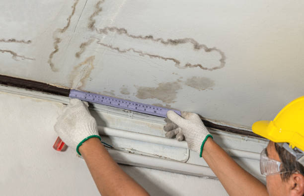 Affordable Flood Damage Cleanup solutions in Saint Helen, MI